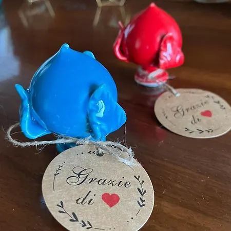 Casa Franca - Terracielo A Vecchia בארי