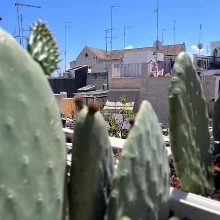 Casa Franca - Terracielo A Vecchia Tatil Evi Bari