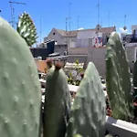 Casa Franca - Terracielo A Vecchia 度假居 巴里