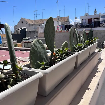 Casa Franca - Terracielo A Vecchia Ferienhaus